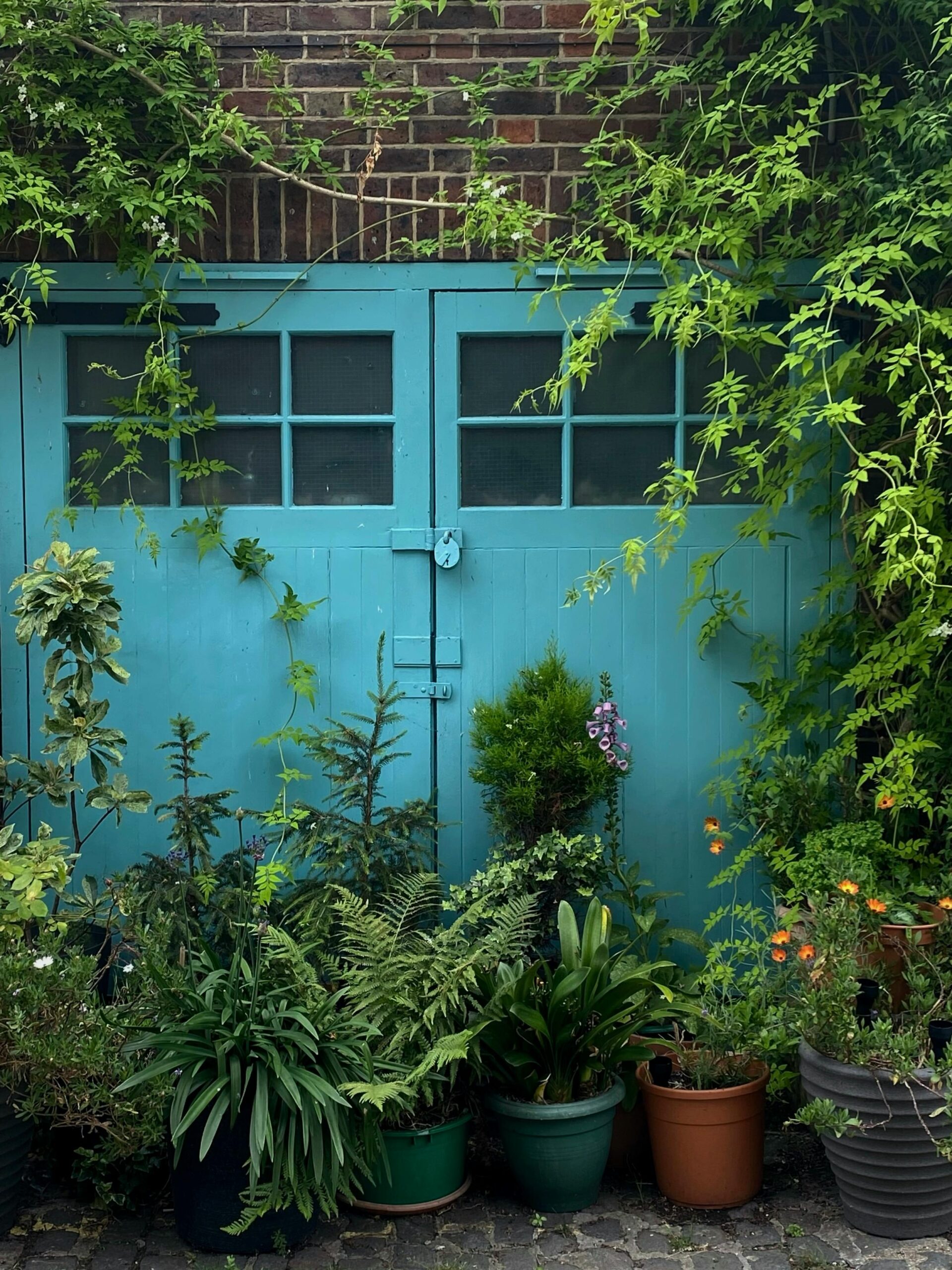 pexels polinachistyakova 18252663 locked